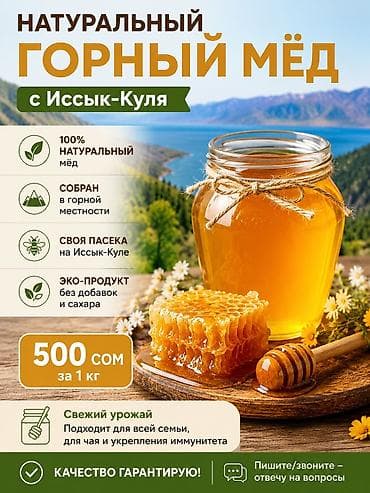 мед курсы: 🍯 Натуральный горный мёд с Иссык-Куля | Своя пасека | 500 сом/кг — 1