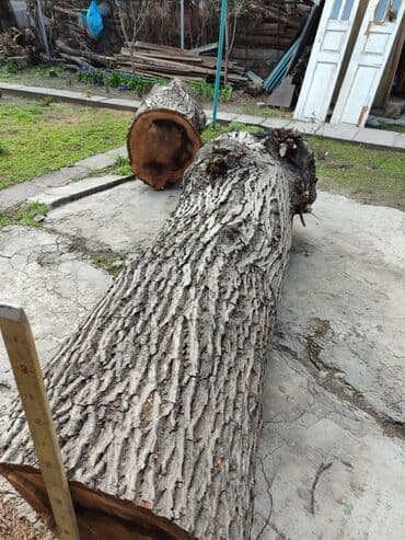 ДСП: Продаю 2 ствола ореха длина 2,40 и 210; диаметр 0,60. цена — 4