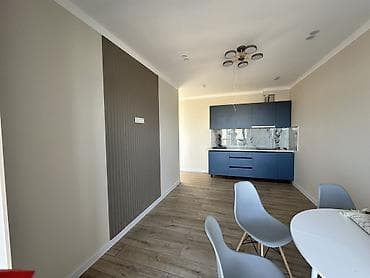 каартиры в аренду: 2 комнаты, 44 м², Индивидуалка, 3 этаж, Евроремонт — 4