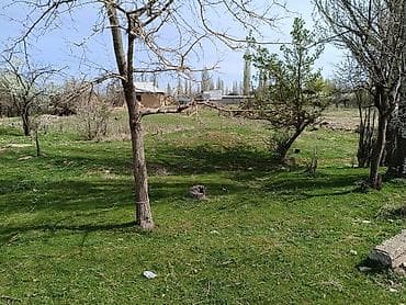 жер участка бишкек: 13 соток, Бизнес үчүн, Кызыл китеп — 1