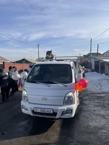 трава для животных: Портер, По региону, По городу, без грузчика — 10