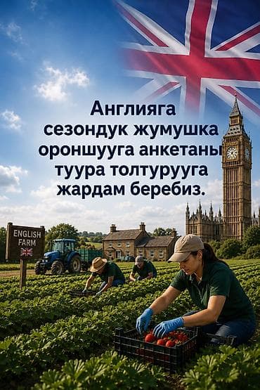 лизинг трактор: Анкетаны туура толтурууга жардам беребиз 🤝 — 2