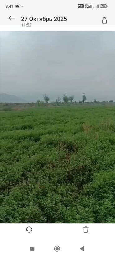 аренда земли поле: Для сельского хозяйства — 4