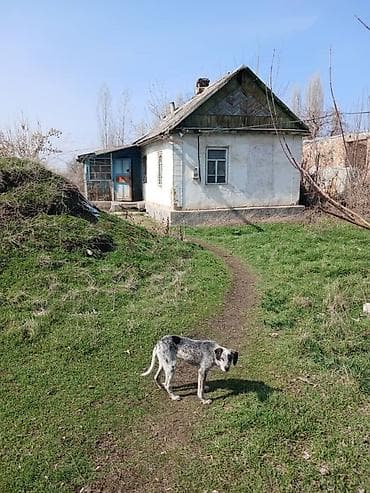 село сасновка: 41 соток, Для бизнеса, Красная книга, Договор купли-продажи — 2
