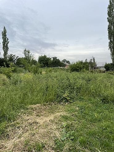 10 соток, Айыл чарба үчүн, Кызыл китеп — 5