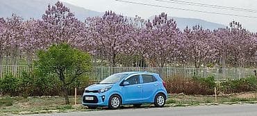Kia Morning: 2019 г., 1 л, Автомат, Бензин, Хэтчбэк — 3
