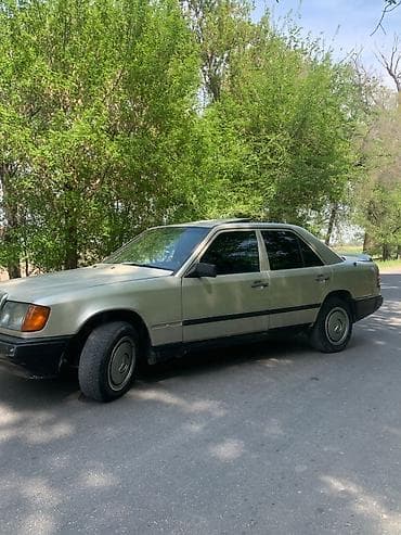 Mercedes-Benz W124: 1989 г., Кол менен иштөөчү, Седан — 6
