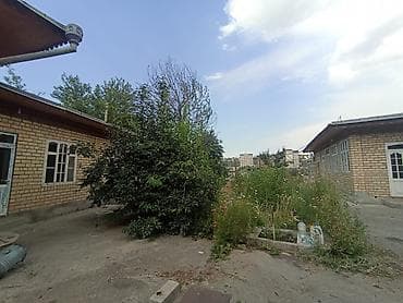 продаю токмок: 6 соток, Для бизнеса, Красная книга — 2