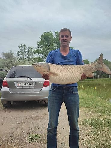 Недвижимость: 1500 соток, Для сельского хозяйства, Договор купли-продажи, Красная книга — 5