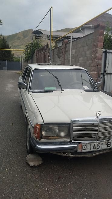Mercedes-Benz W123: 1982 г., 2.3 л, Кол менен иштөөчү, Бензин, Седан — 4