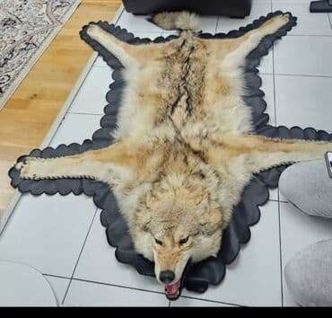 прокат велосипедов бишкек: Юрты Юрты аренда юрты с полом Юрты юрта юрта юрта юрта юрта юрта юрта — 4