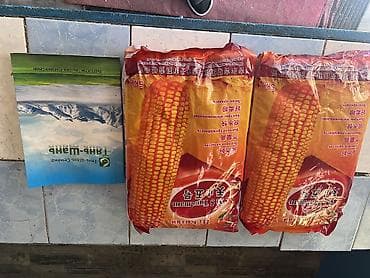 чернослив оптом: Семена кукурузы «Тяньшань №5» (гибрид) - Происхождение: из Китая - — 1