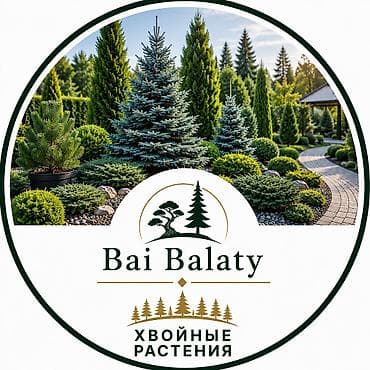 ландшафт: Ландшафтные услуги Bai Balaty - Ландшафтный дизайн: разработка — 6