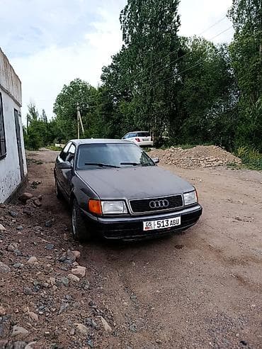 Audi 100: 1993 г., 2.8 л, Бензин, Седан — 1