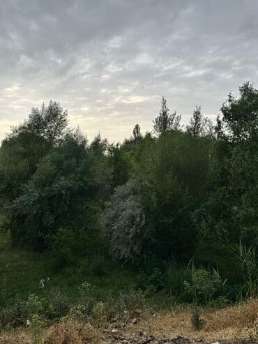 купить дом в александровке: Дом, 45 м², 4 комнаты, Собственник, Старый ремонт — 9