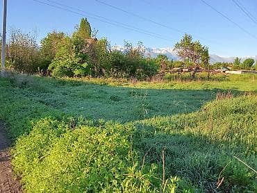 Недвижимость: 10 соток, Для строительства, Договор купли-продажи — 4