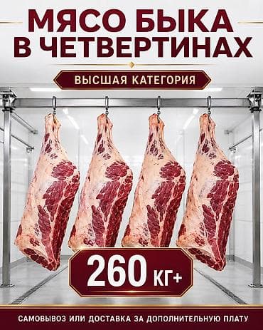 комод с зеркалом цена: Туша — 1