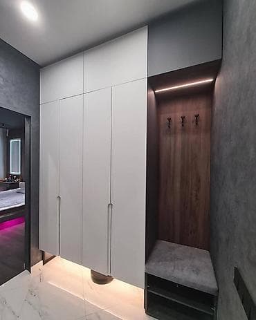 вешалки для магазинов: Шкаф-прихожая, С зеркалом, ЛДСП — 2