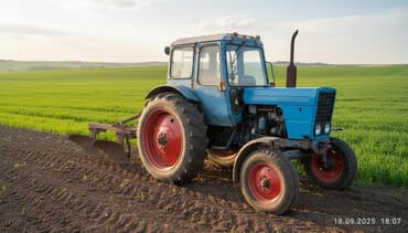 куплю трактор мтз 82 недорого: Продаю МТЗ 50 двигатель 80,Плуг, Бороон, в хорошем состоянии цена — 1