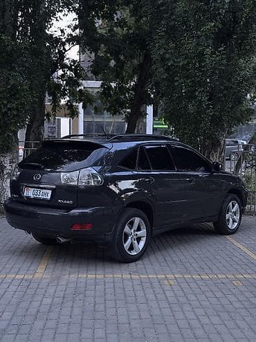 авто краслер: Lexus RX: 2004 г., 3.3 л, Автомат, Газ, Кроссовер — 4