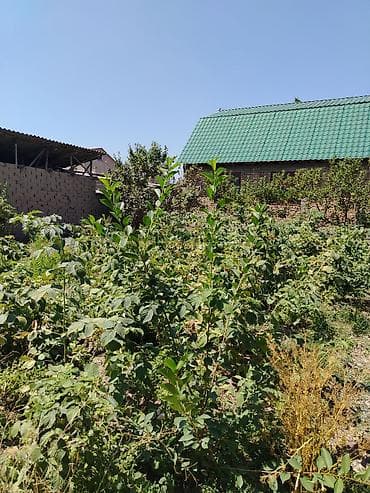 4 bedroom: Продаётся дом на участке 8 соток. Характеристики: - Размер участка — 7
