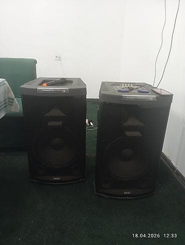 акустические системы sky с микрофоном: Пара портативных акустических систем SKG - Формат: напольные активные — 1