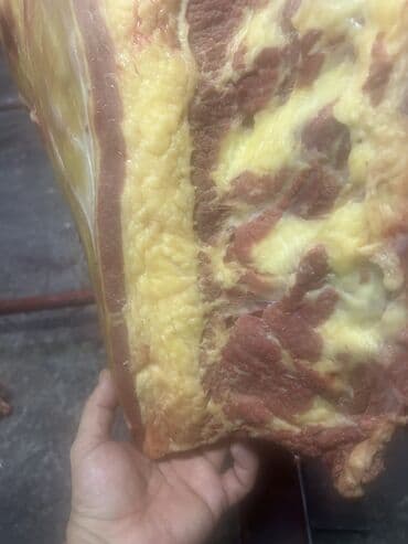 саженцы яблок: Конина  — 3