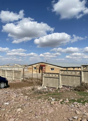 куплю дом в новопакровке: Продаю Ферма КРС, 40 соток, Действующий — 3