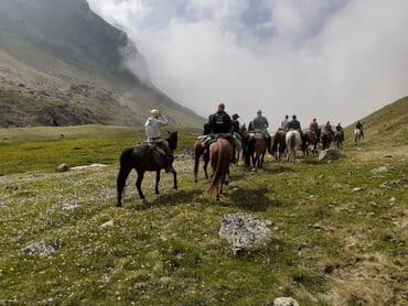 купить дом в бишкеке: Конная прогулка на иссык-куле 🐎 0️⃣5️⃣0️⃣2️⃣3️⃣2️⃣9️⃣4️⃣7️⃣1️⃣☎️ + — 8