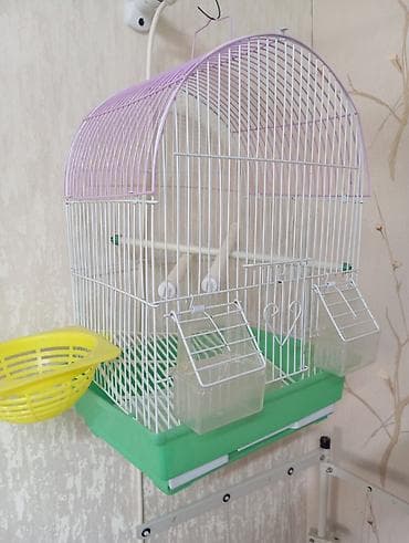 утки дикие: Клетка для мелких птиц (волнистые попугаи, канарейки, амадины) - — 2