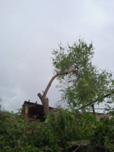 кресло барбер: Профессионально оперативно быстро спил любой сложности. Без выходных — 17