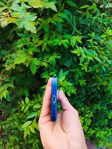 ipone 16: IPhone 12, Б/у, 64 ГБ, Синий, 100 % — 6