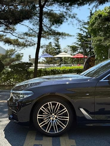 BMW: BMW 530: 2019 г., 2 л, Автомат, Бензин, Седан — 10