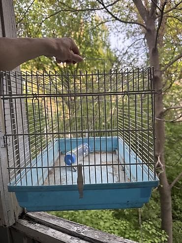 морской: Клетка для мелких животных/грызунов с поилкой - Материал — 2