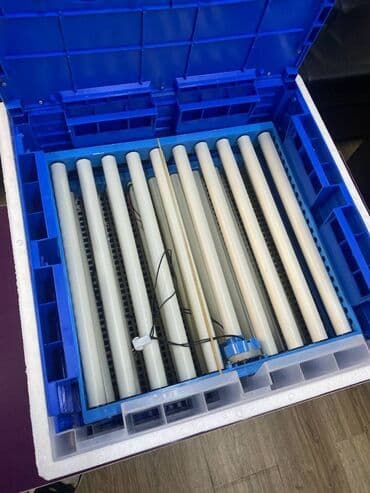 мини оборудование для производства яичных лотков: Умный Инкубатор на 64 яиц Инкубатор автоматически Инкубатор для яиц — 5