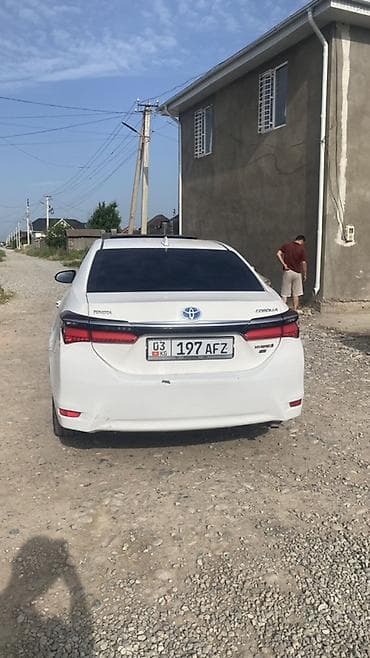 штор авто: Toyota Corolla: 2019 г., 1.8 л, Гибрид, Седан — 2