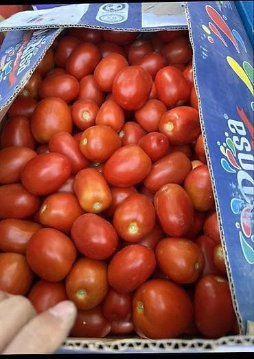 Помидоры Сливки