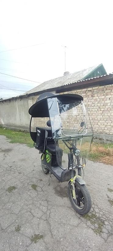Тень дождевики