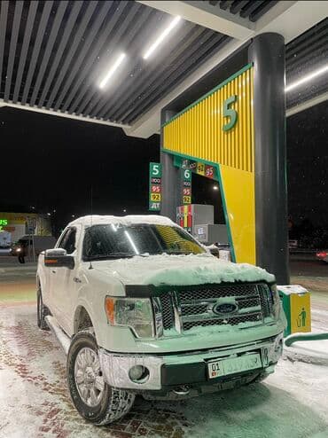 Ford F-150: 2012 г., 5 л, Автомат, Бензин, Пикап