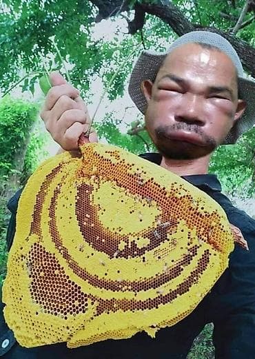яблоки цена бишкек: Мёд Бал — 1