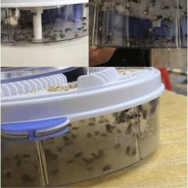 уф лампа для детей от желтушки купить: Ловушка для насекомых электрическая мухоловка Ловушка для насекомых- — 6