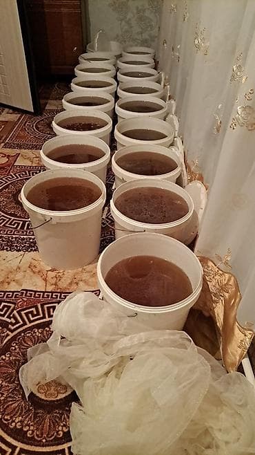 Бал: Токтогулский Натуральный пчелиный мёд, откачанный в сезоне. - Цвет — — 1
