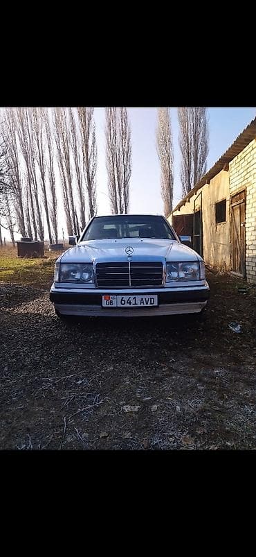Mercedes-Benz E-Class: 1992 г., 2.2 л, Автомат, Бензин, Седан — 1