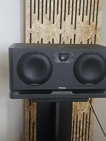 колонка качалка: Студийные мониторы Focal Alpha Twin Evo (активные, трехполосные — 1