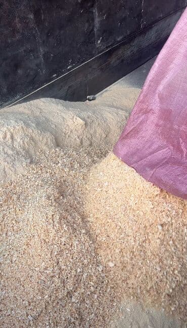 дойный апарат для коров: Опилка — 1