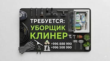Уборщики: Требуется Уборщик, График: Пятидневка, Ночная смена — 1
