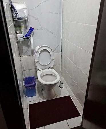 flat kant: 2 комнаты, 55 м², Индивидуалка, 2 этаж, Косметический ремонт — 6