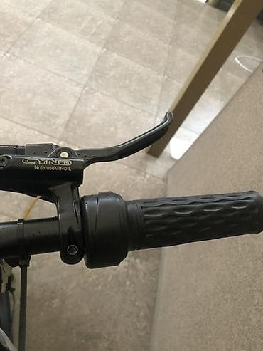 Көркөм өнөр жана коллекциялоо: Электрдик велосипеддер — 5