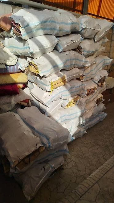 карагач куплю: Дрова Карагач, Самовывоз — 5