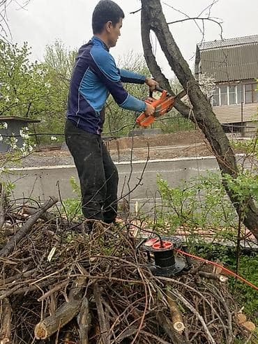 Профессиональные услуги по благоустройству участка - Бак аралайбыз